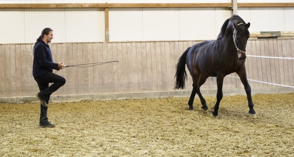 Foto_HJN-Reiten_Arbeit auf dem Zirkel_2
